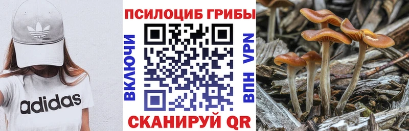 Галлюциногенные грибы MAGIC MUSHROOMS  Таруса 